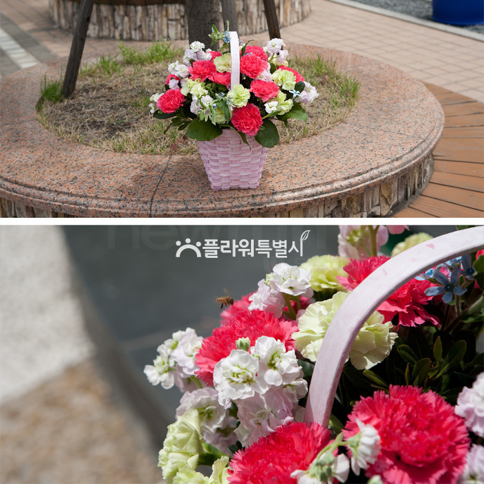 상세이미지