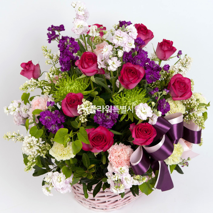 상세이미지