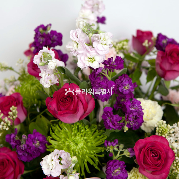 상세이미지