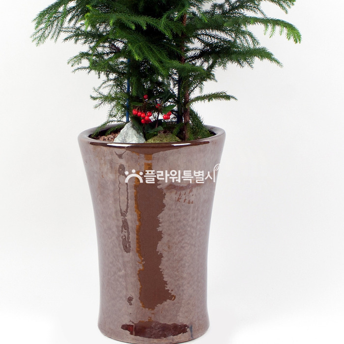 상세이미지