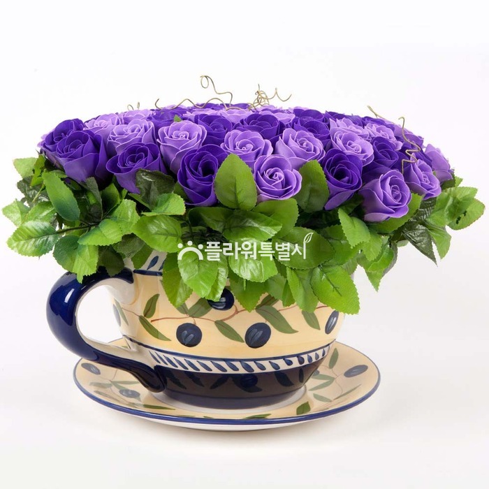 상세이미지