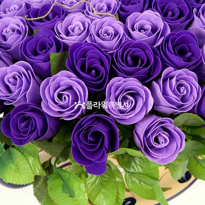 상세이미지