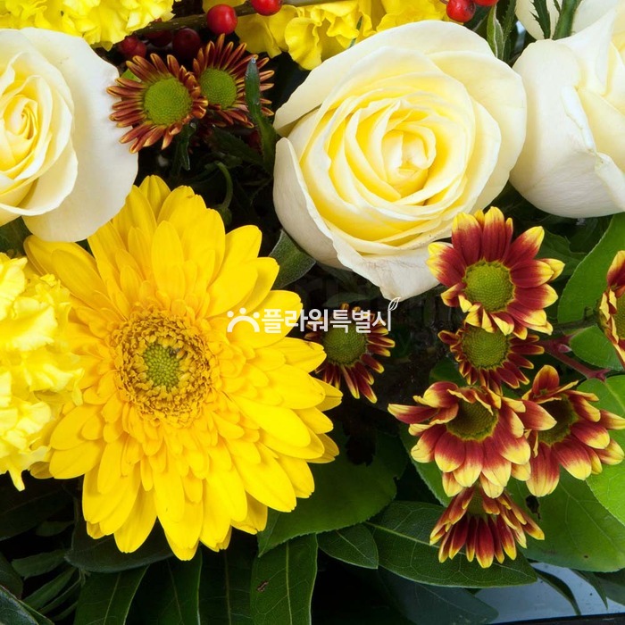 상세이미지