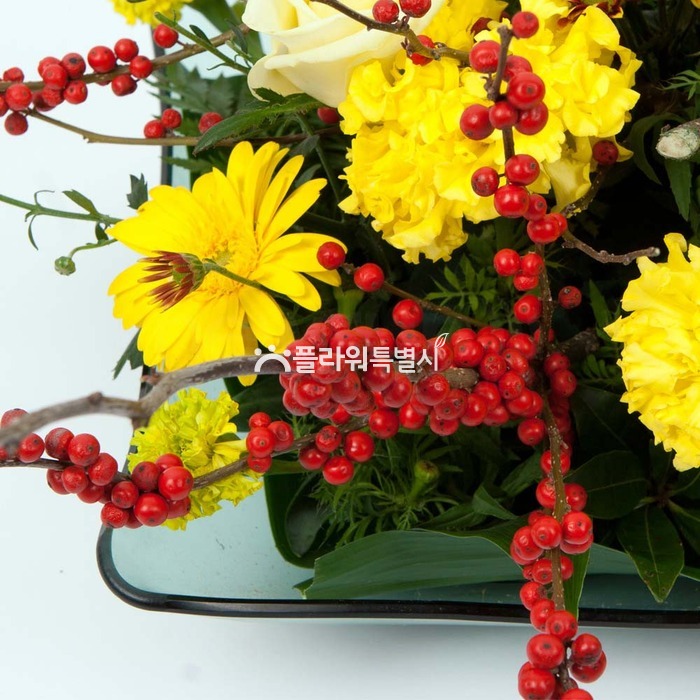 상세이미지