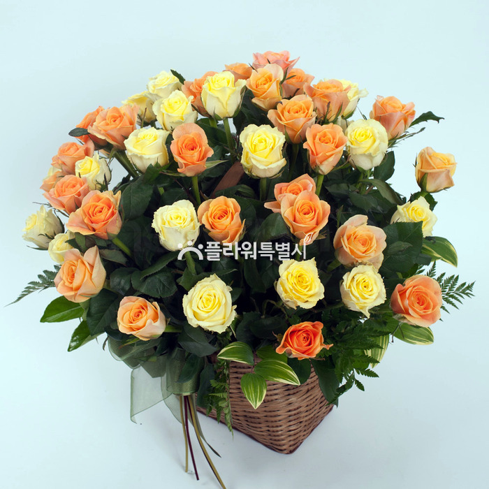 상세이미지