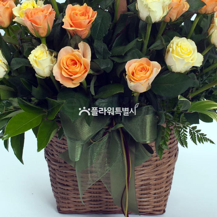 상세이미지