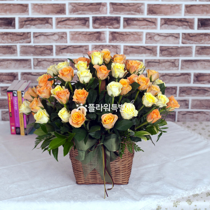 상세이미지