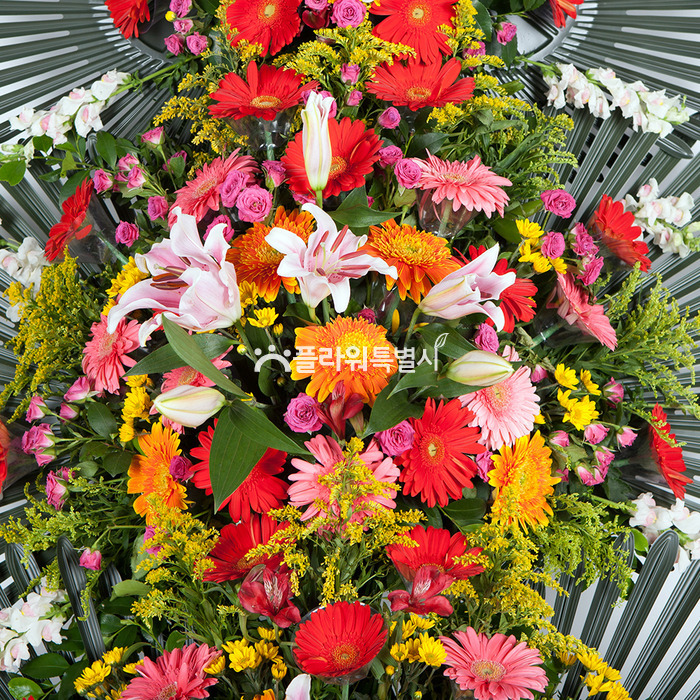 상세이미지