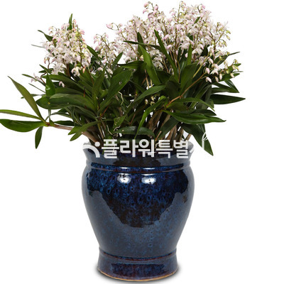 긴기아난