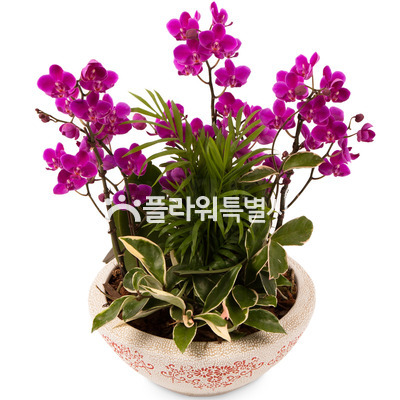 만천홍원형(탁상용)1