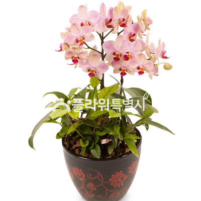 웨딩2