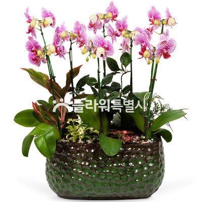 블랙잭1