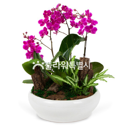 만천홍원형(탁상용)3