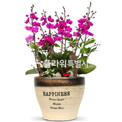 만천홍디자인분