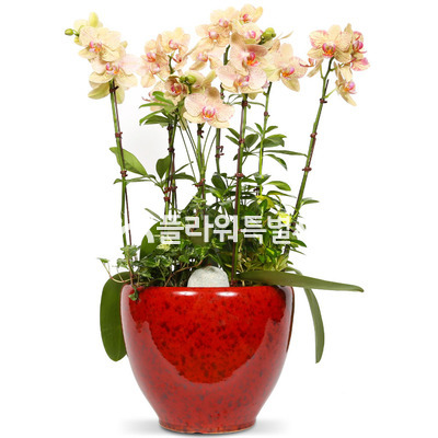 유투1