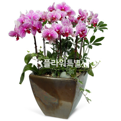 블랙잭2