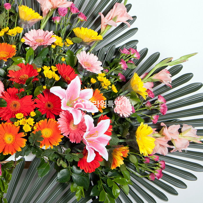 상세이미지