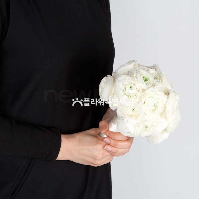 상세이미지