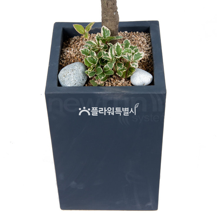 상세이미지