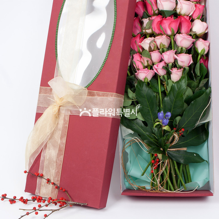 상세이미지