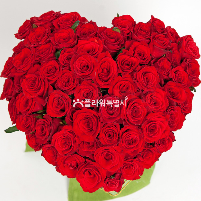 상세이미지