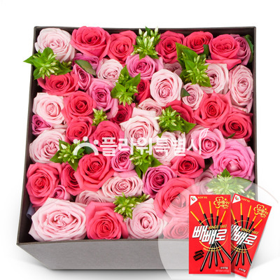 사랑의 마력장미 50송이