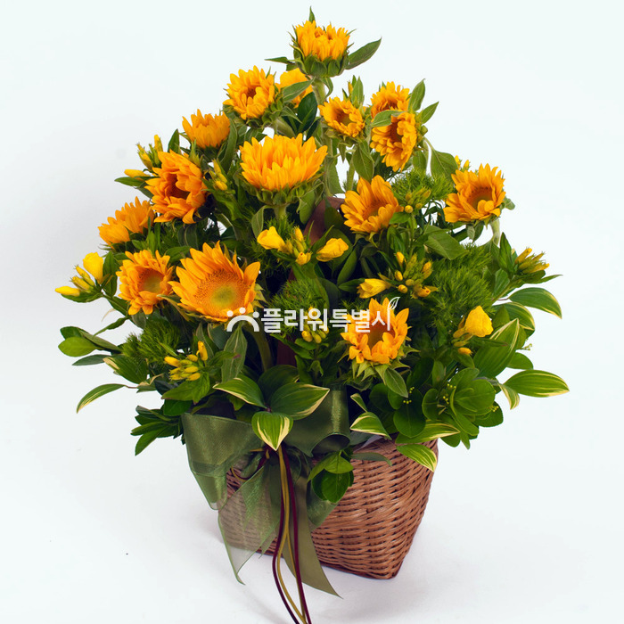 상세이미지
