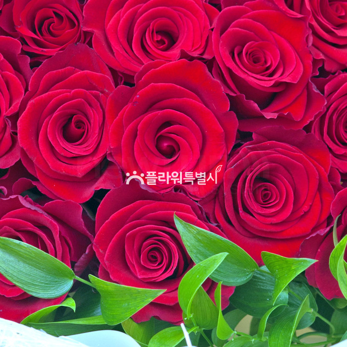 상세이미지