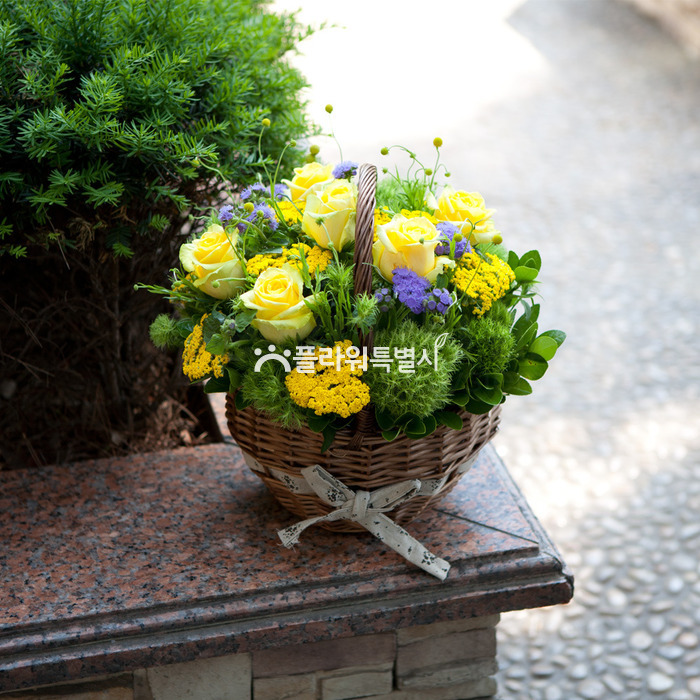 상세이미지