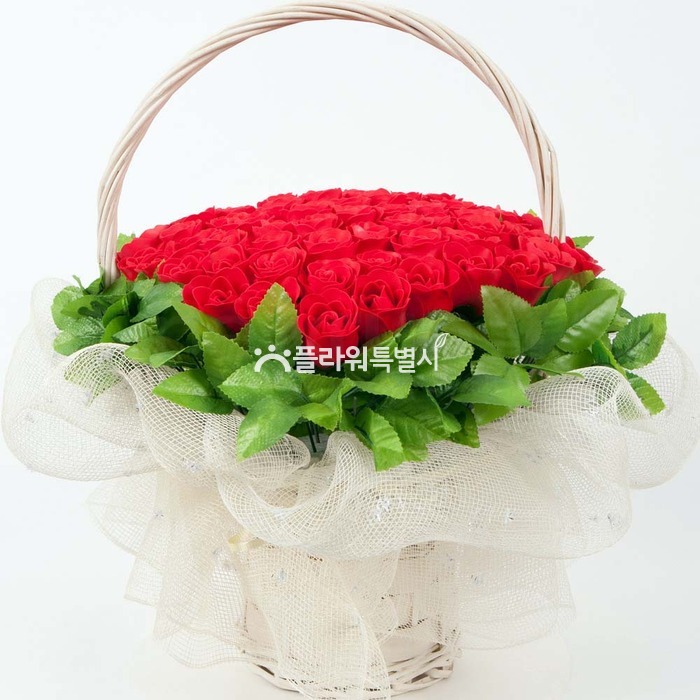 상세이미지
