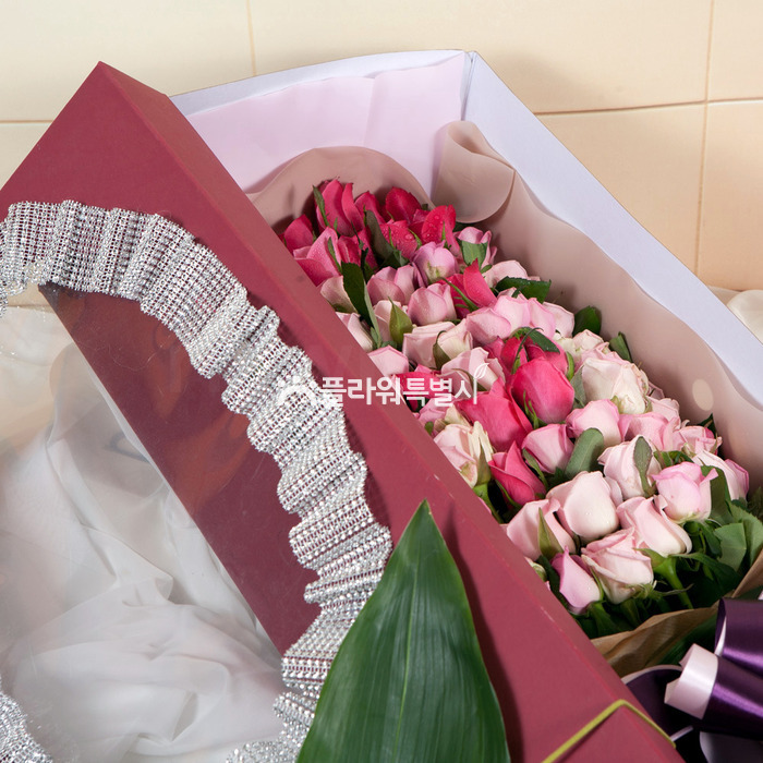 상세이미지