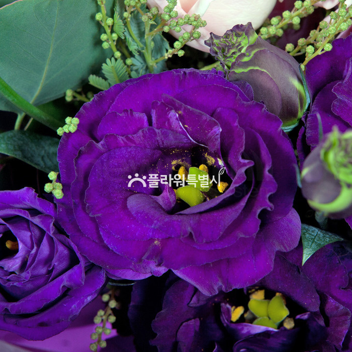 상세이미지