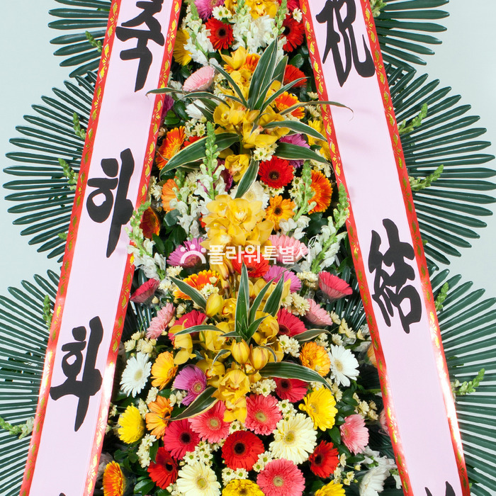 상세이미지