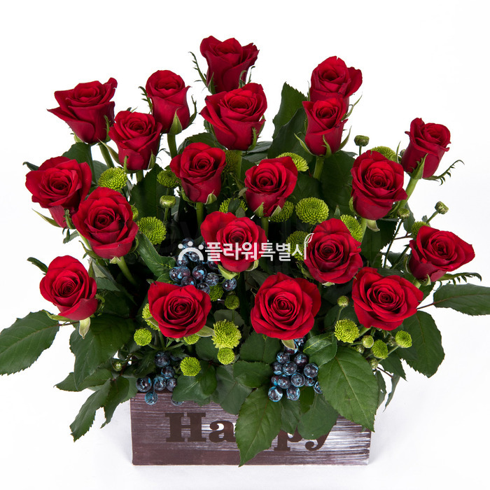 상세이미지