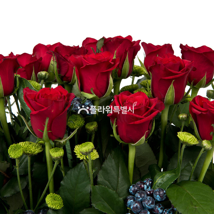 상세이미지