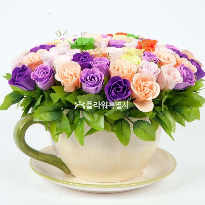상세이미지