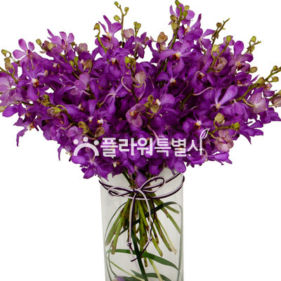 모카라화병