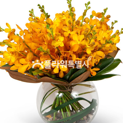 노랑모카라화병