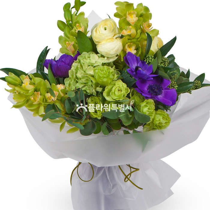 상세이미지