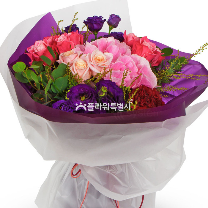 상세이미지