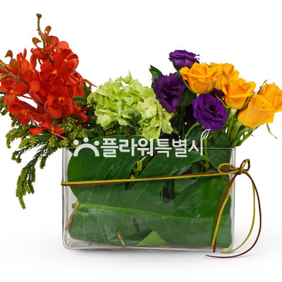 러브러브