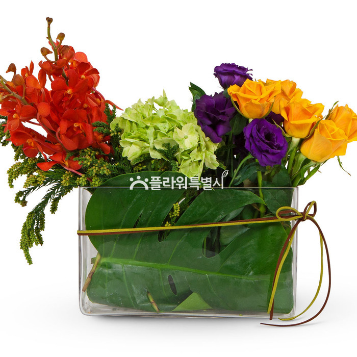 상세이미지