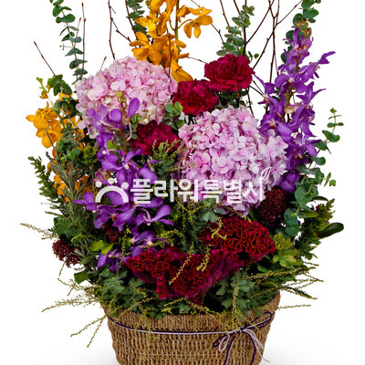 작은정원3