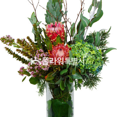 혼합화병