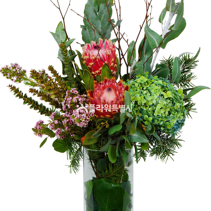 상세이미지