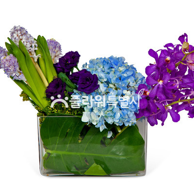 작은속삭임