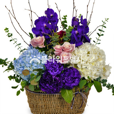 보라빛바구니