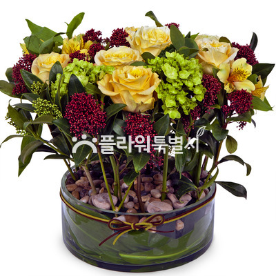 내마음을 받아줘