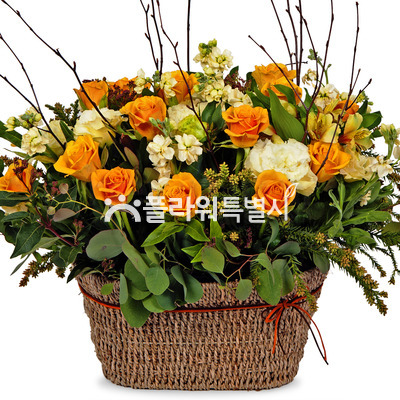작은정원