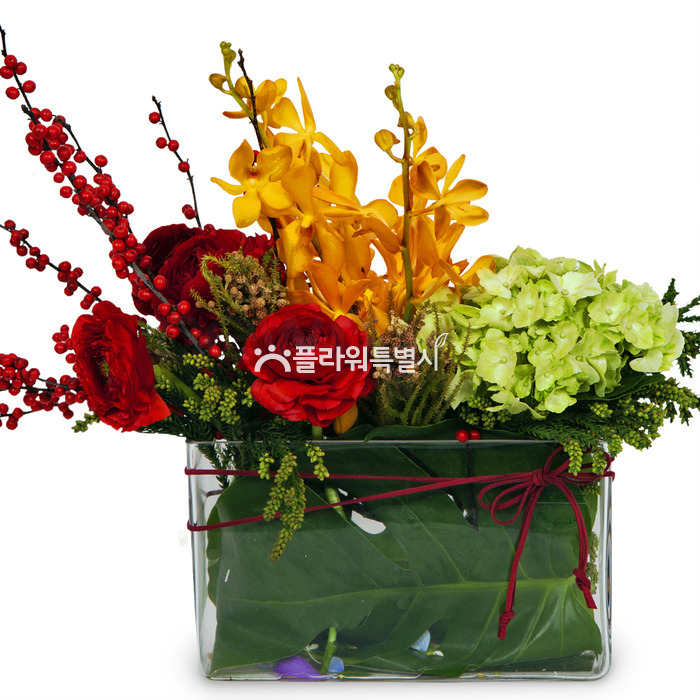 상세이미지